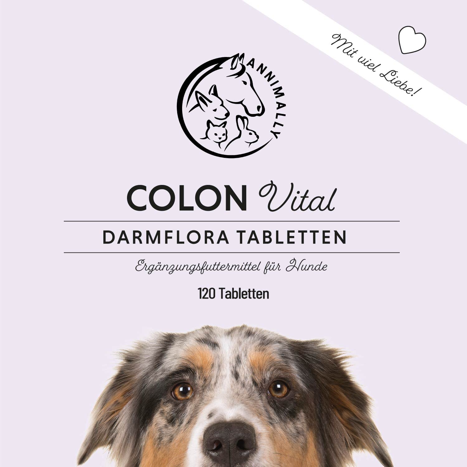 Annimally® Probiotika für Hunde mit 1,5 Mrd. KBE - 120 Tabletten für eine gesunde Darmflora - Darmbakterien zur Darmsanierung & bei Durchfall für den Hund - Immunsystem stärken