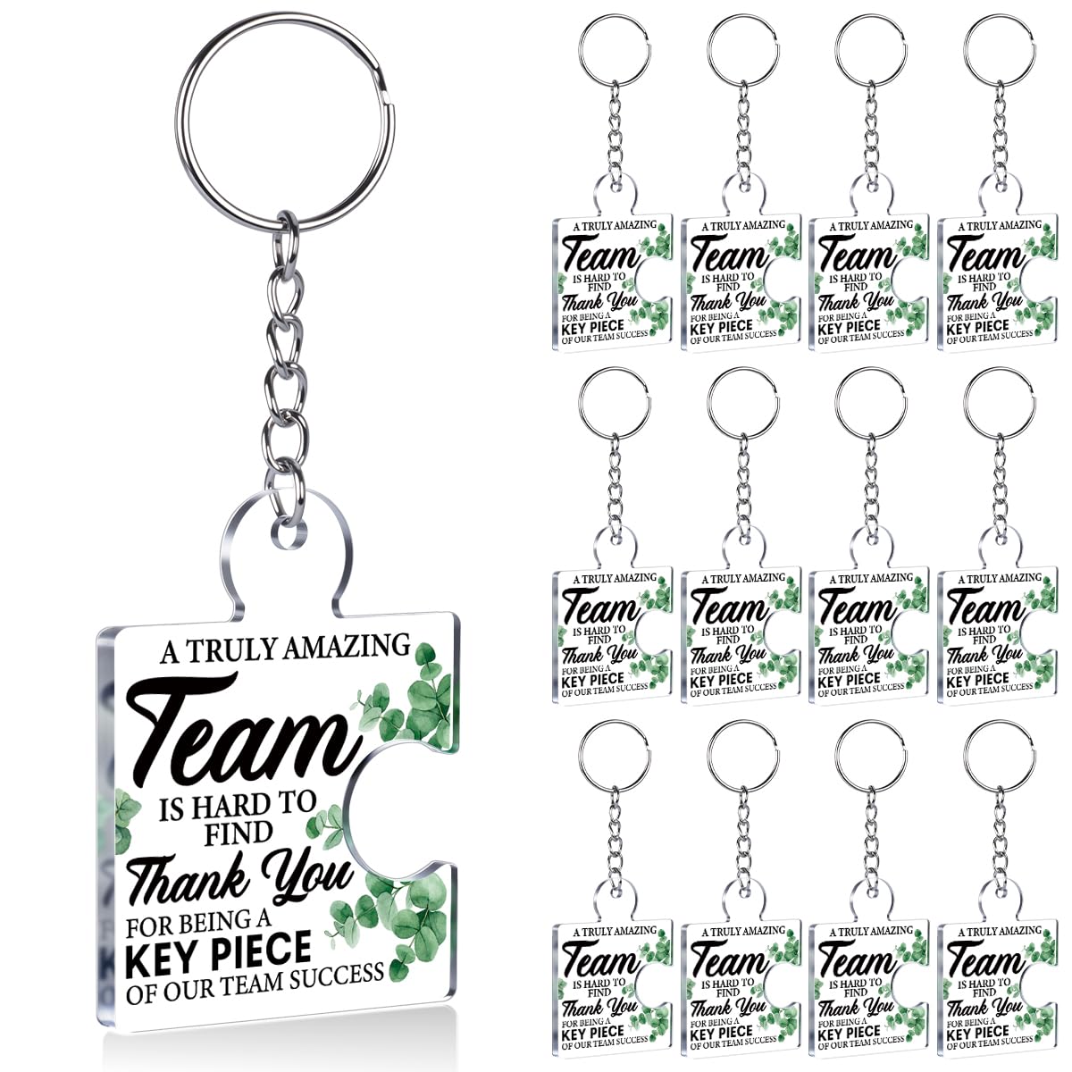 Team Appreciation Gifts Bulk Thank You Keychains for Coworkers