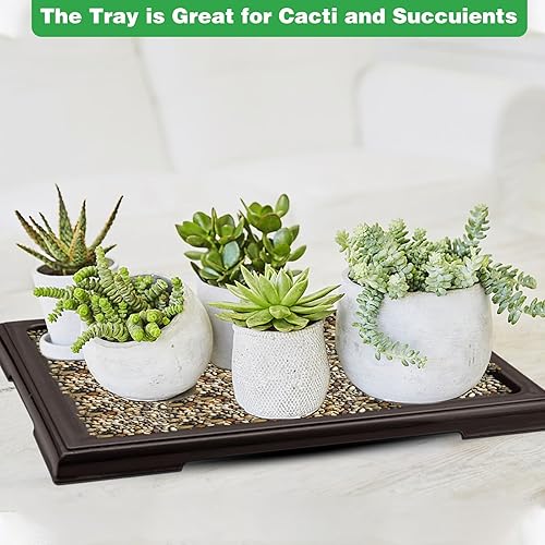 Miniatura 6 de 2 macetas de bonsái para goteo de humedad, bandeja cuadrada de drenaje para árboles bonsái de cactus, accesorios (negro)