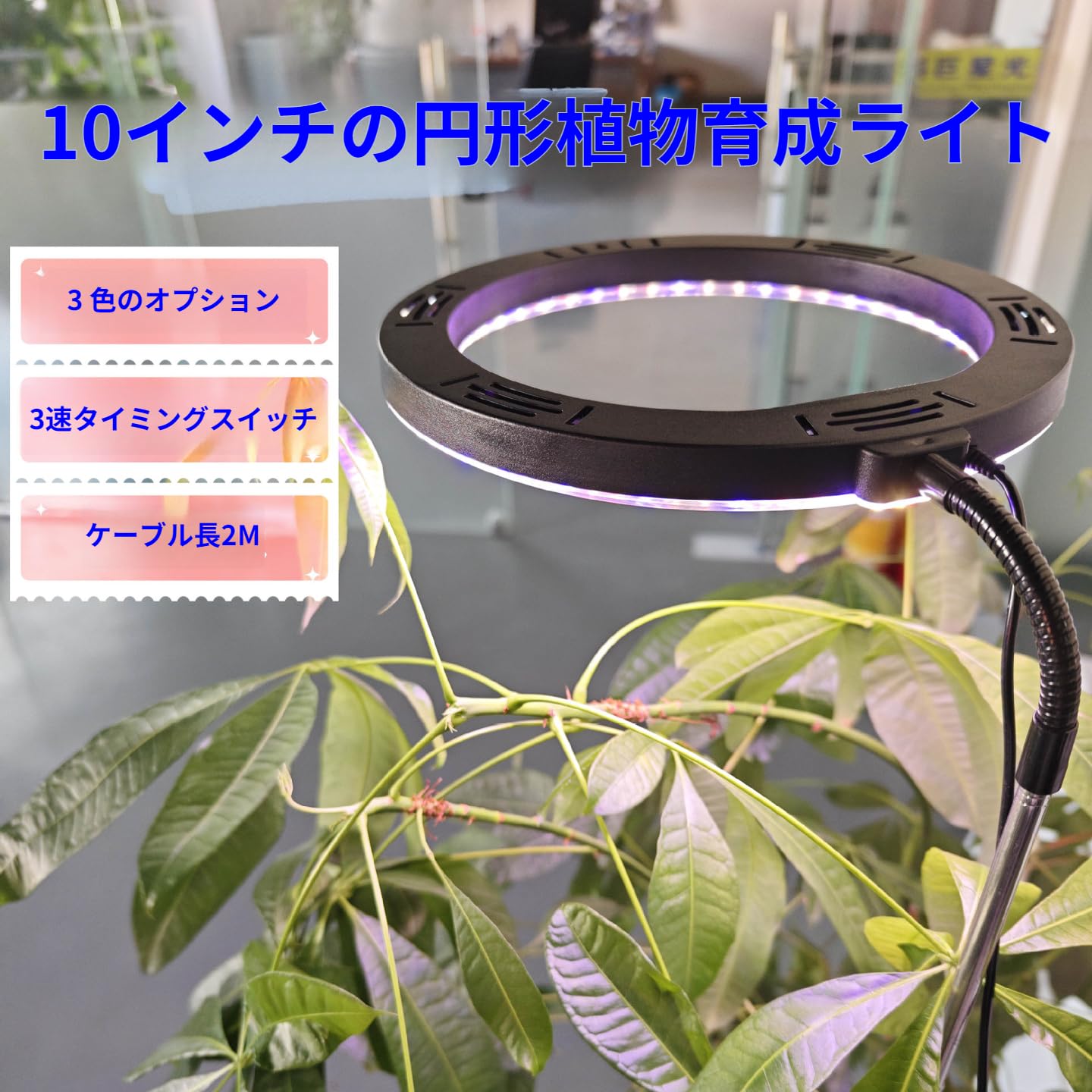 Amazon.co.jp: 植物育成ライト スタンド式 フルスペクトル