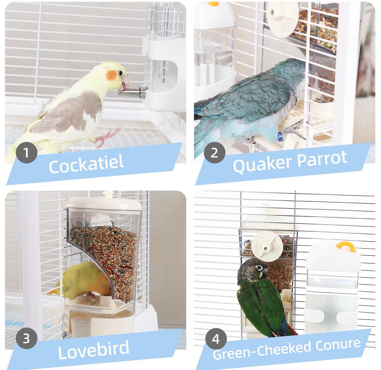 No-Mess Bird Feeder & Waterer Set for Cage, 300ml Auto Feeder with Seed Hull Catcher & 400ml Stainless Steel No-Backflow Drinker, for Cockatiels Conures Parakeets - image 3