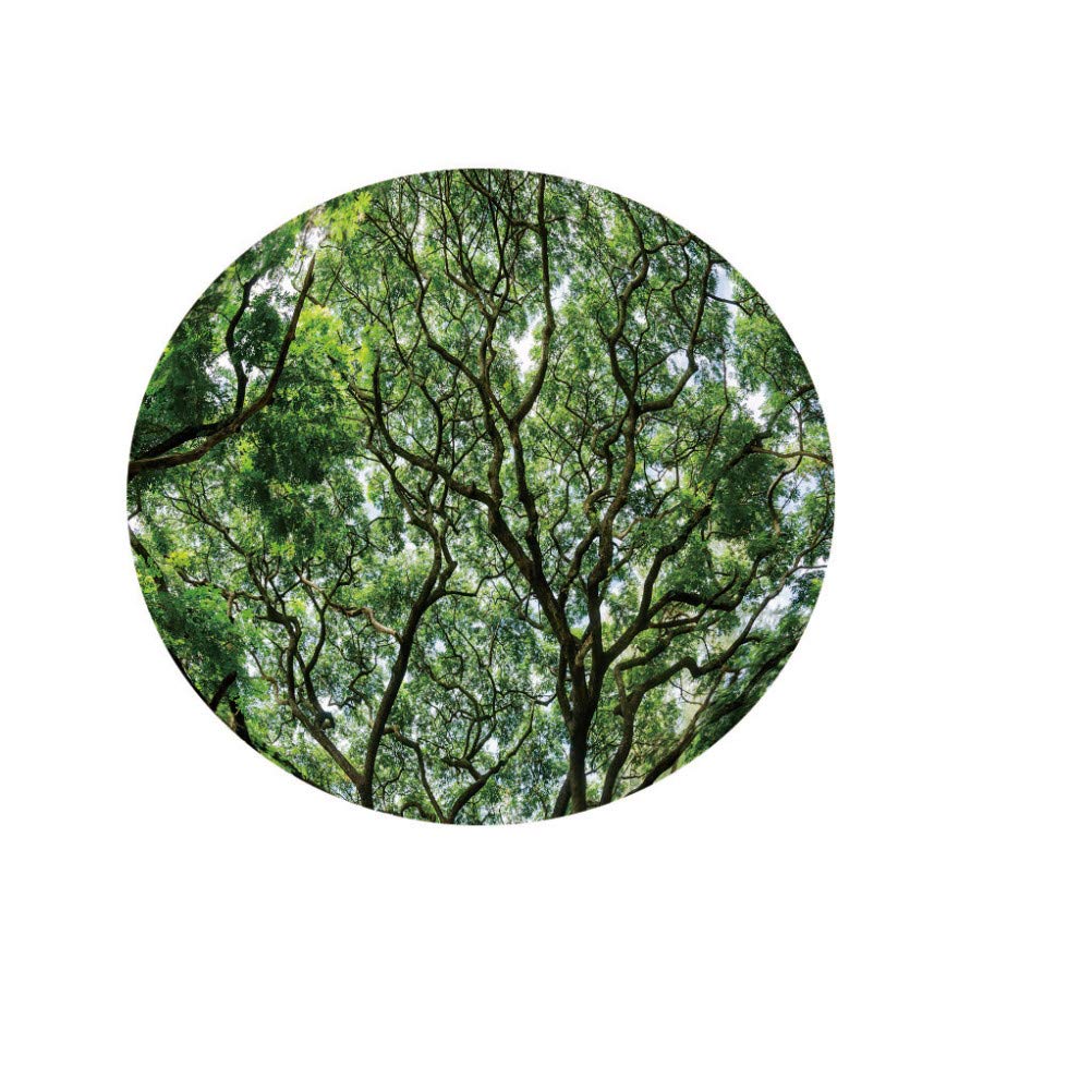 FANSU Nappe Ronde Impermeable, Plantes Impression Nappe En Polyester L