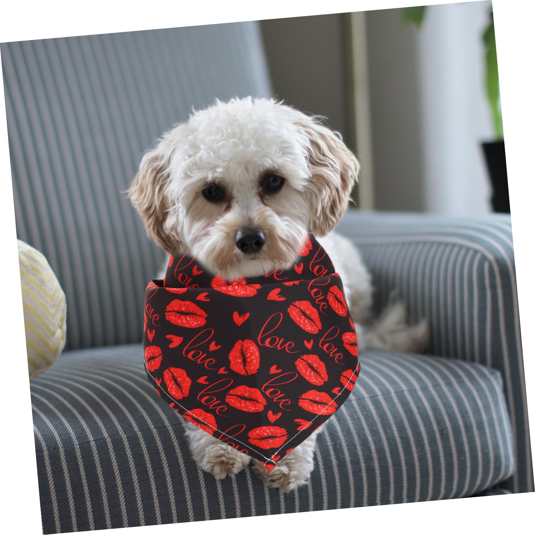 minkissy 15pièces Bandanas pour Chiens pour Saint-Valentin Accessoires De Fête pour Animaux De Compagnie pour Photos Sorties avec Style
