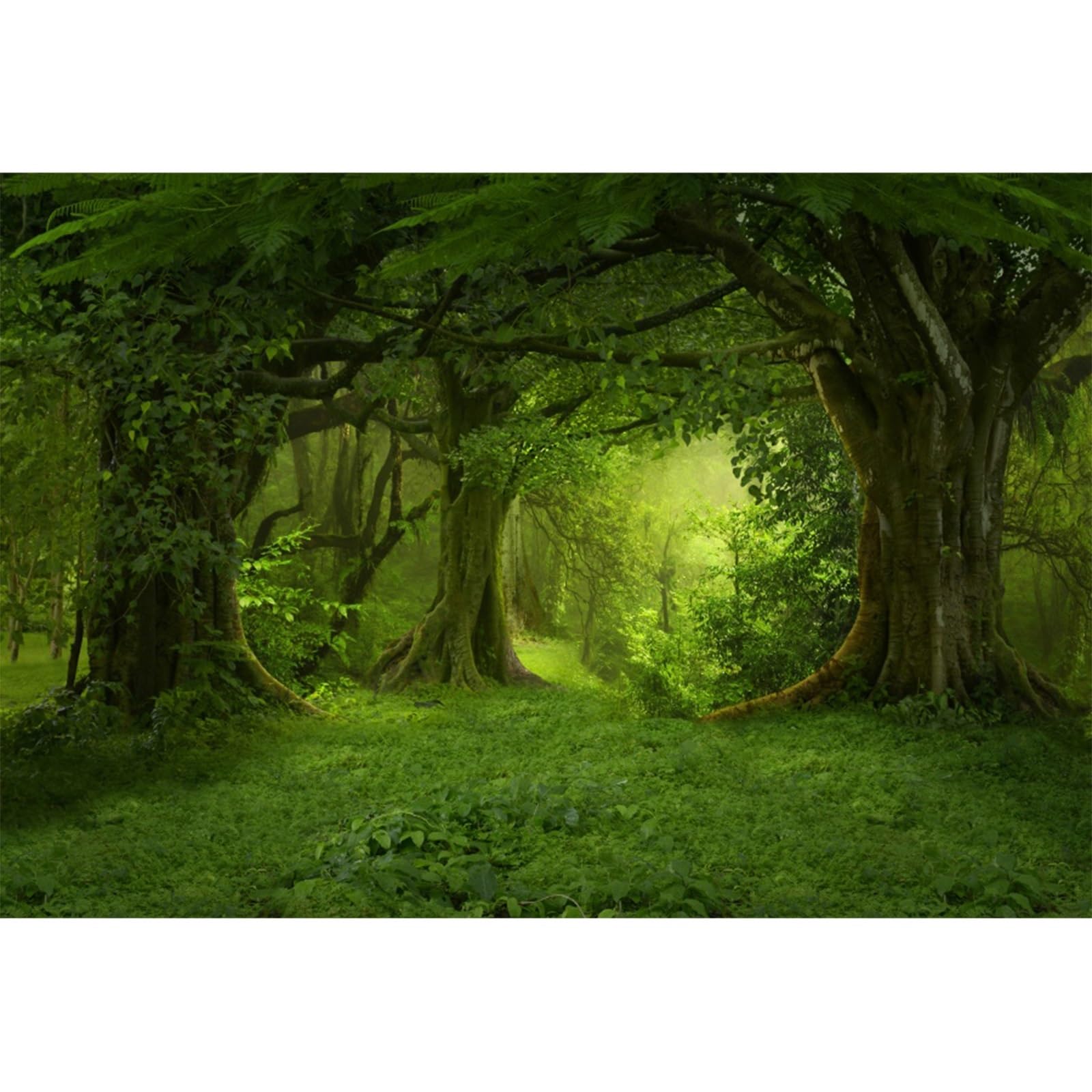 YongFoto 3x2,5m Vinyle Toile de Fond Fantaisie Forêt Jungles Green Old Trees Branches Herbe Nature Fond de Studio Photo Mariage photobooth Photographie Fond Accessoires Fond d'écran