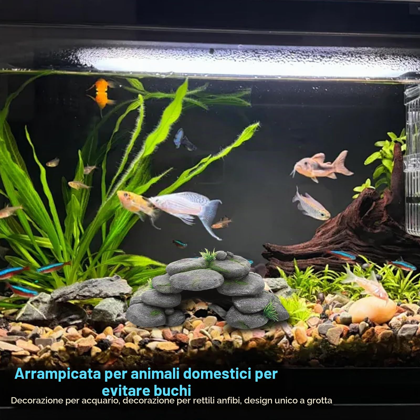 Acquario, grotta per acquario, pietre per tartarughe, accessori in resina, terrario, decorazione rettile, nascondiglio per acquario, decorazione per tartarughe, Axolotl, gamberetti