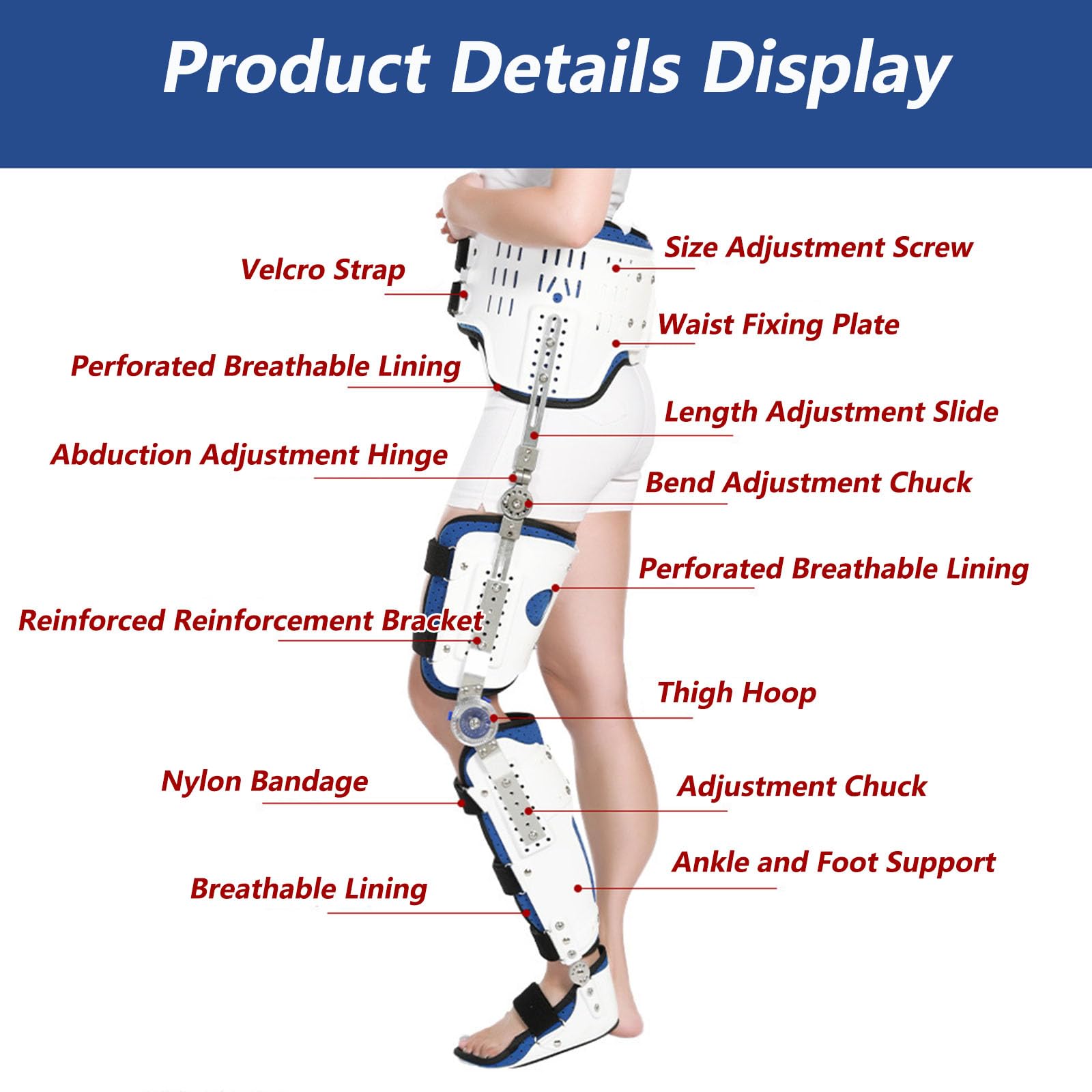 Ortopedyczny Stabilizator Stawu Biodrowego, Regulowany, Zawiasowy Stabilizator Stawu Biodrowego, Stabilizator Stawu Kolanowego I Kostki, Wytrzymały Stabilizator Stawu Biodrowego I Kostki, Sprzęt Do R