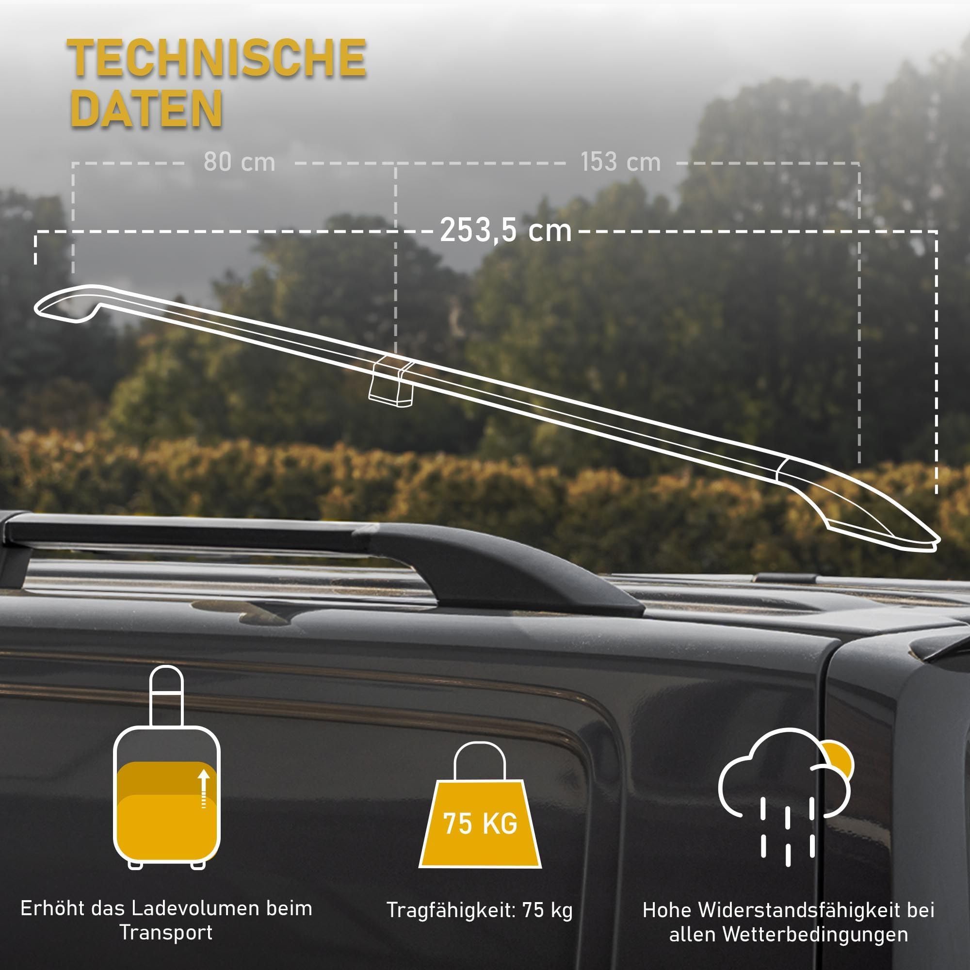 CHROMEMASTER | Dachrelinge Dachträger Kompatibel mit Nissan Primastar L1 KURZ 2021+; Geeignet zur Montage von Dachträgern, Dachboxen und Fahrradträgern | Einfache und Schnelle Montage | Aluminium