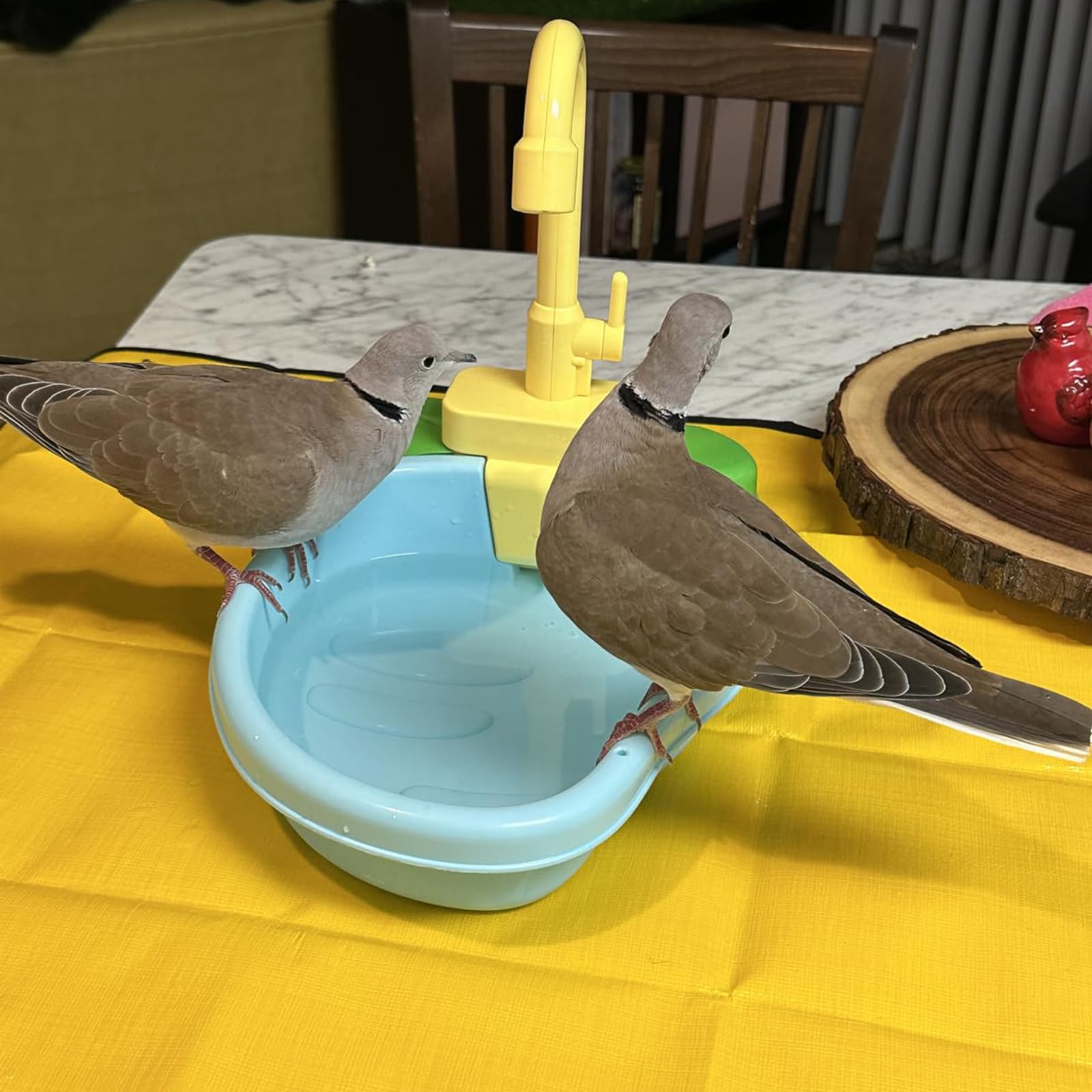 Bird Bath for Cage, Parrot Shower Bathtub Indoor with Faucet, Automatic Bird Bath Shower, Parrot Automatic Bathing Box, Bird Shower Swimming Pool Toy for Parakeet, Ferret, Budgie, Cockatiel(Green) - image 7