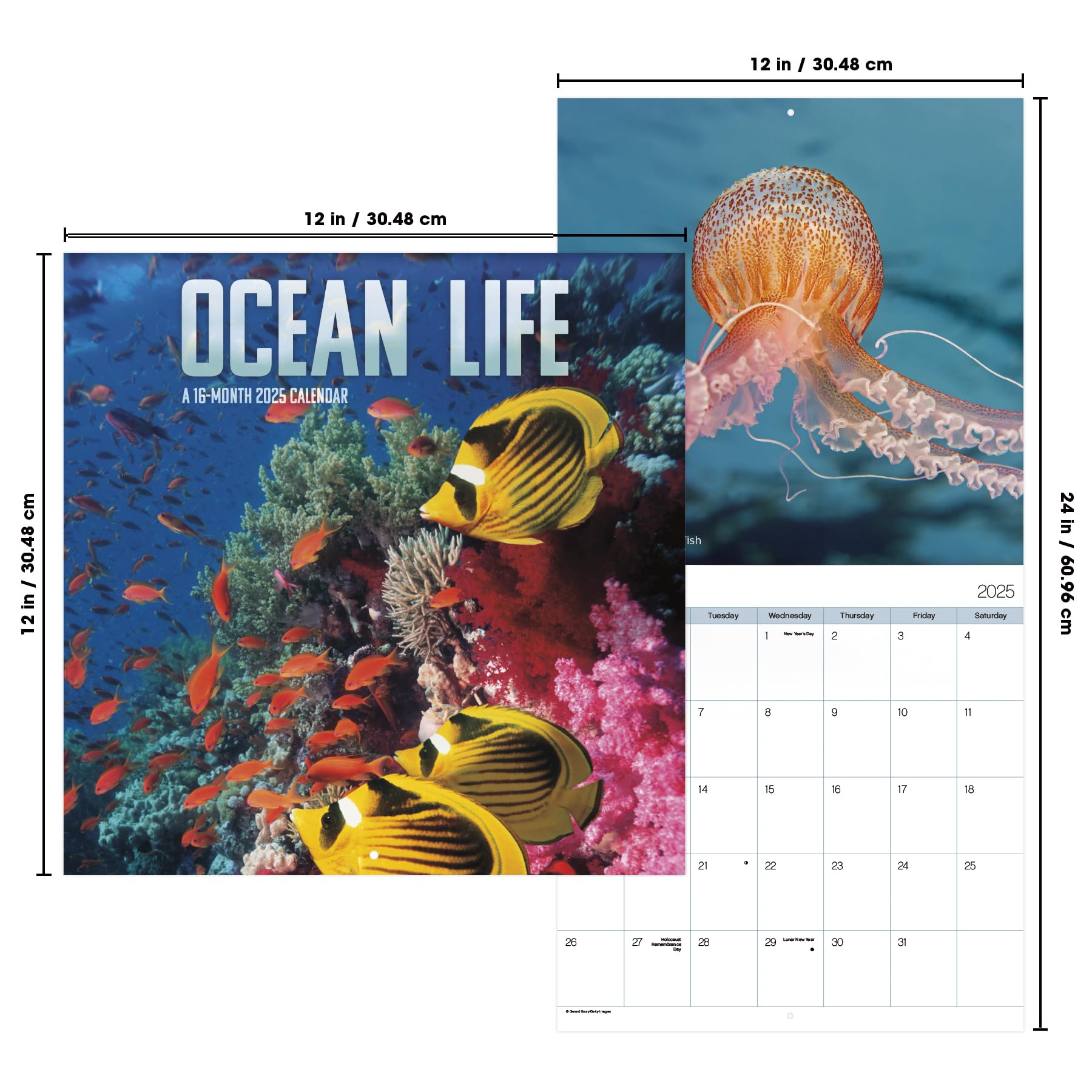Calendario de pared 2025 Ocean Life