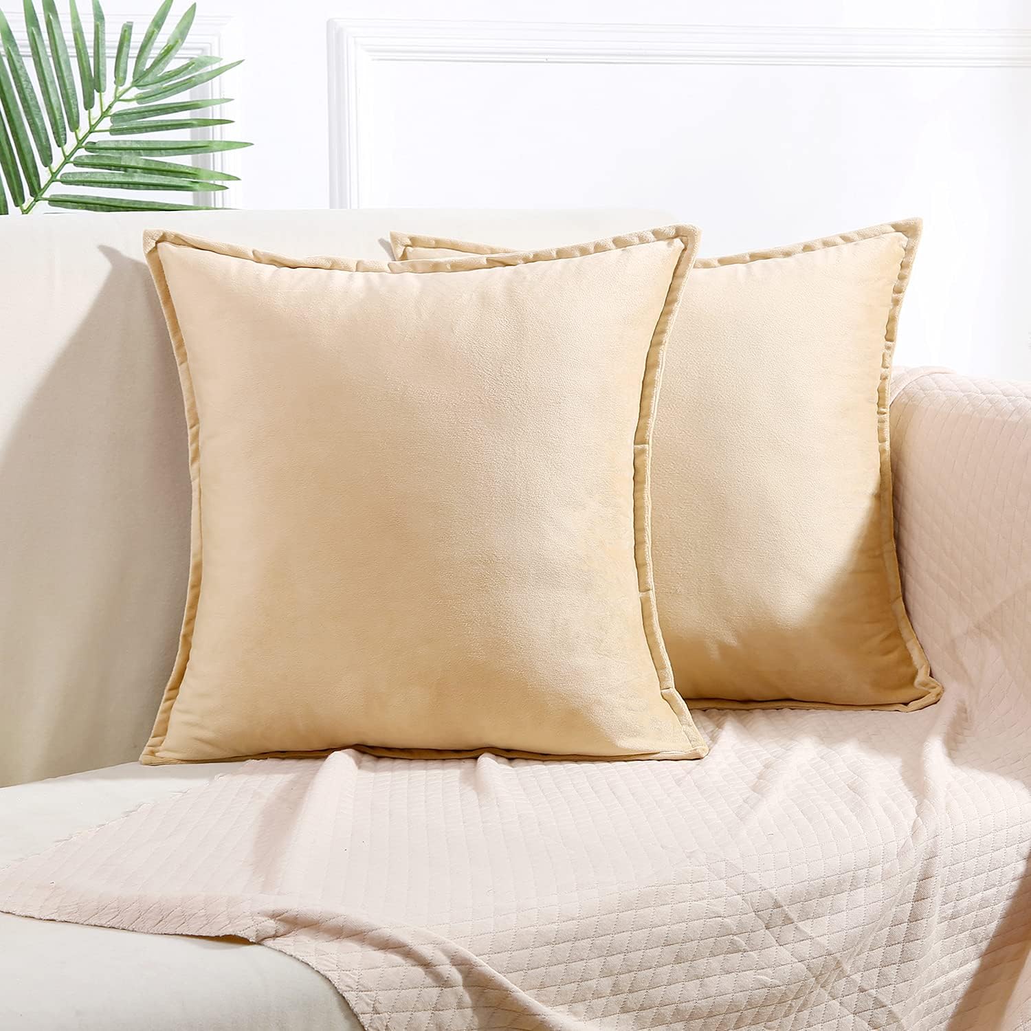 Colorxy Velvet Decorative Throw Pillow Covers, 20x20 Inch, Set of 2, Beige