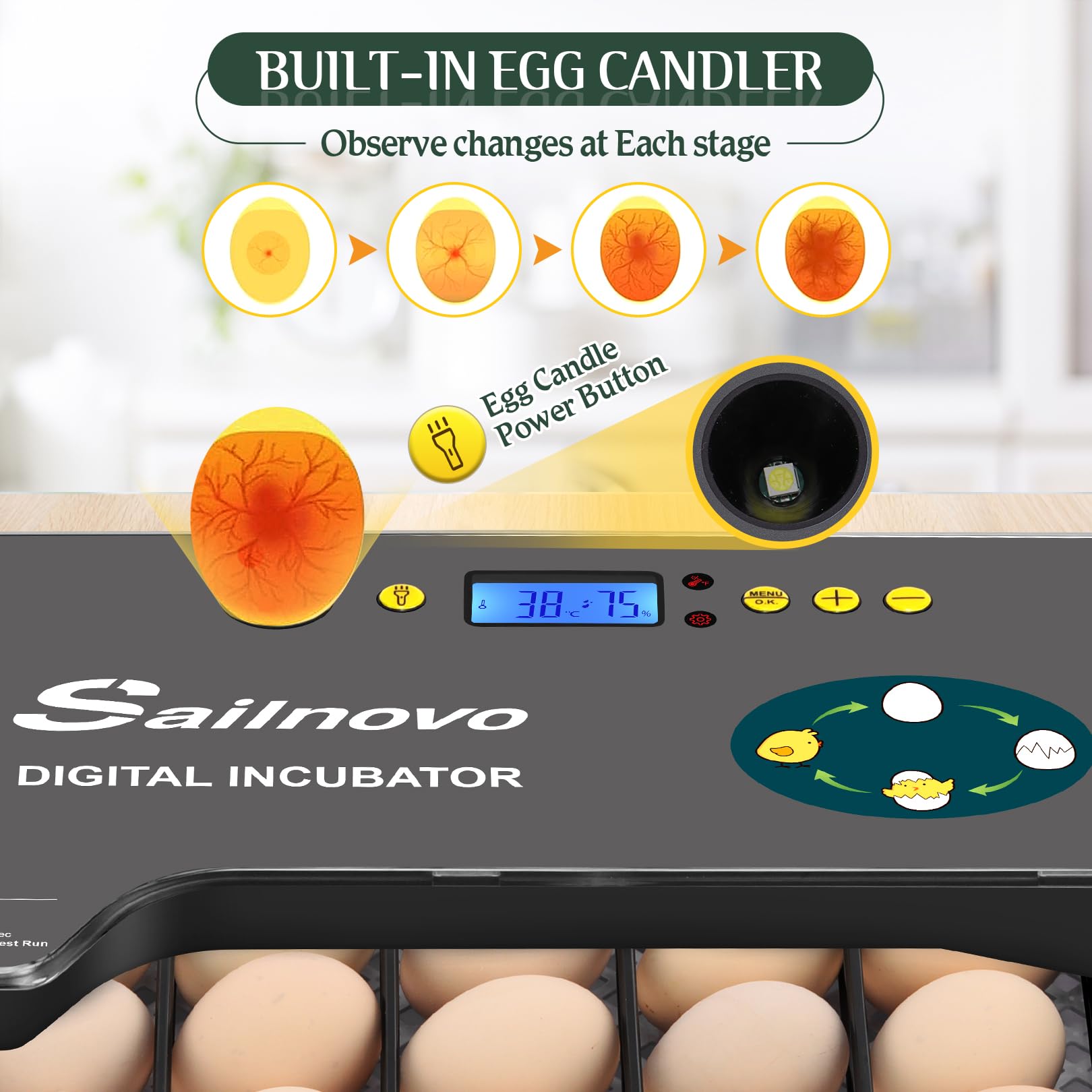 Sailnovo Sailvono 20 Incubateur entièrement automatique, avec ajout d'eau externe, contrôle de la température, éclairage LED, retournement automatique des œufs, de poules - Noir