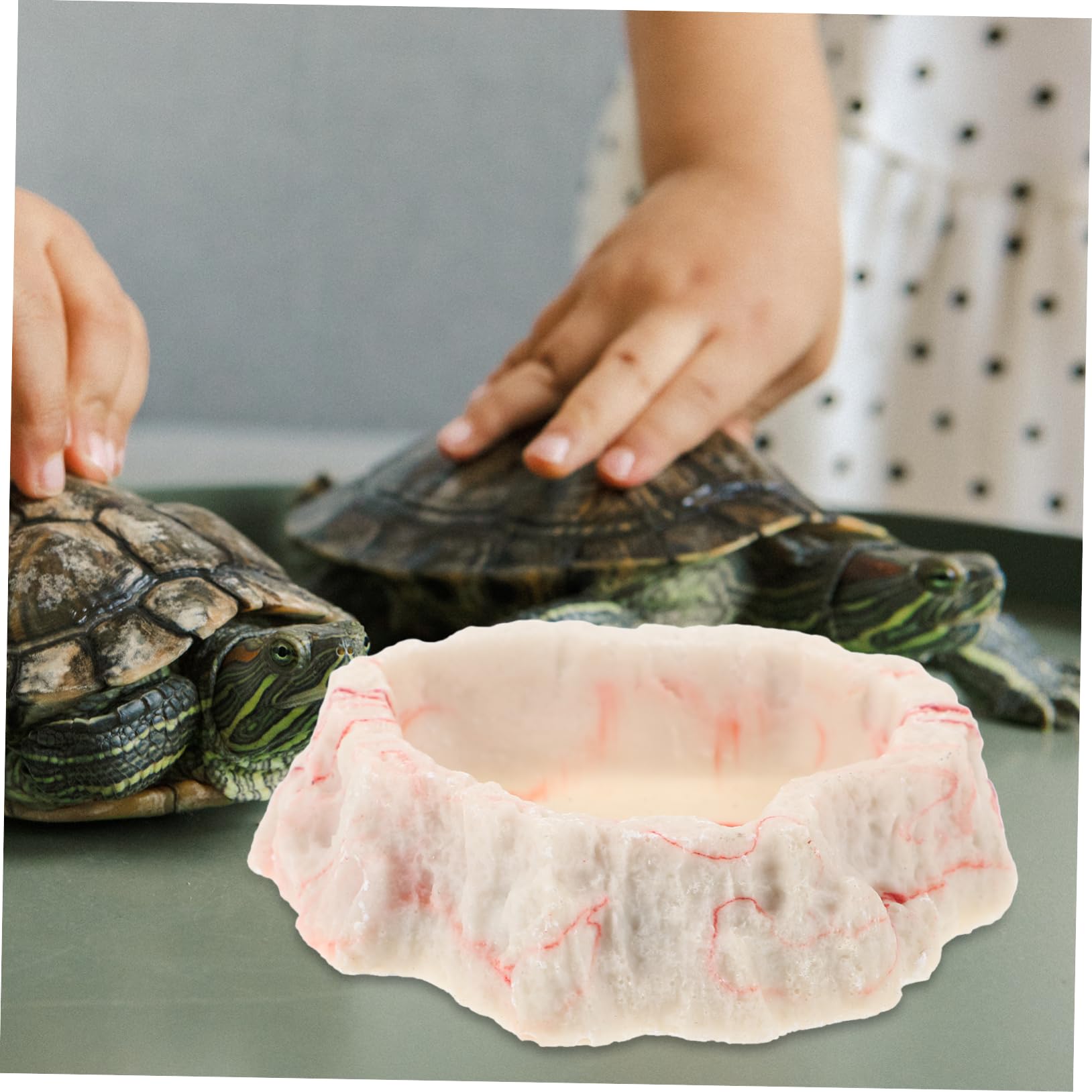 CIYODO Reptile Feeding Bowl Durable Resin Water Dish for Lizards Tortoises and Animals Natural Color Design for Enhanced Security for Terrarium Use