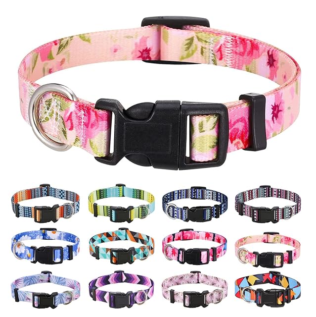 Mihqy Collar Perro, Ajustable y Resistente con Patrones de Moda