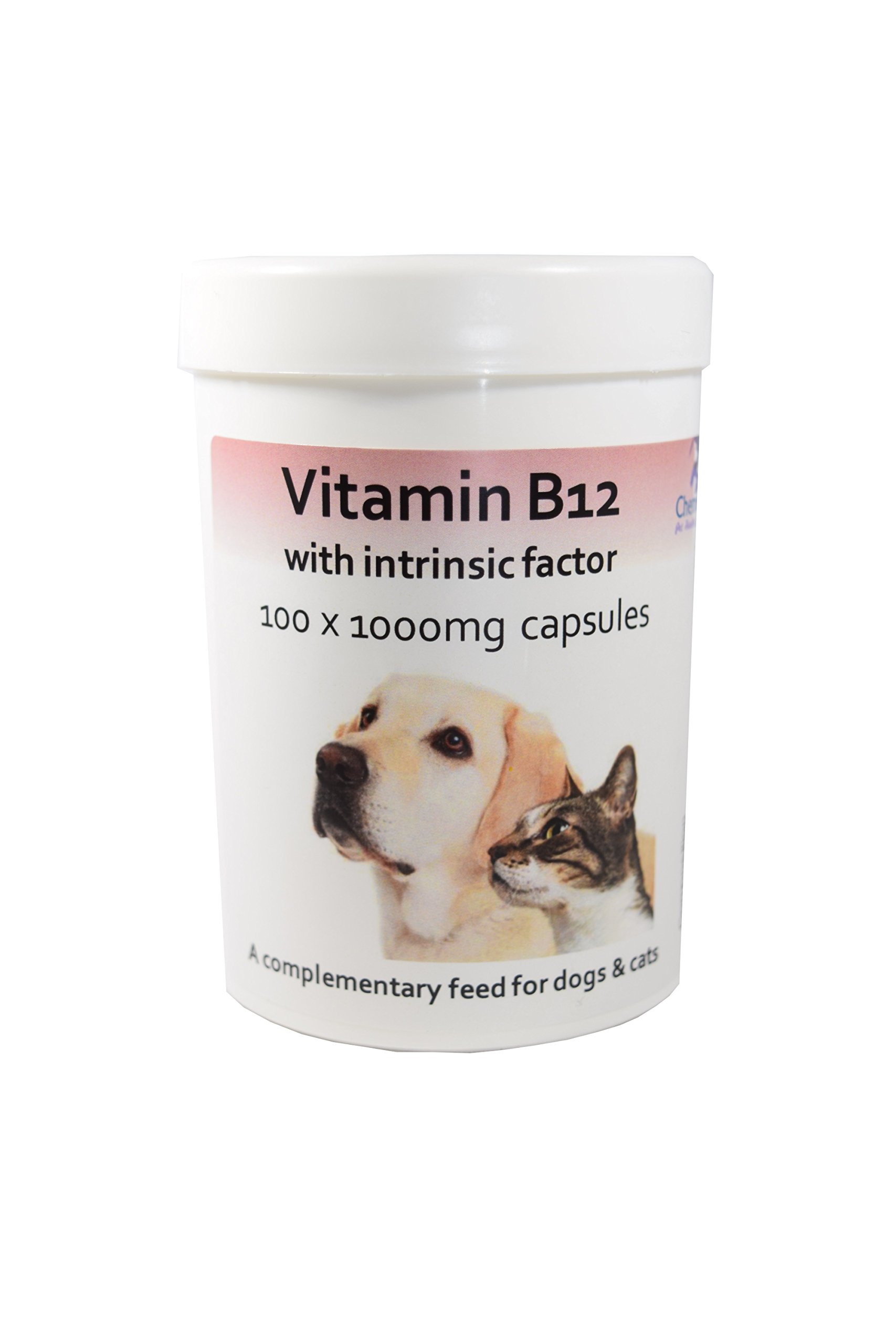 Is Folic Acid Ok For Dogs