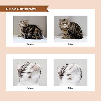 APDC 猫用 プロフェッショナル スタンダード ケア シャンプー 2個セット たかくら新産業 APDC 猫用プロフェッショナルスタンダードケア