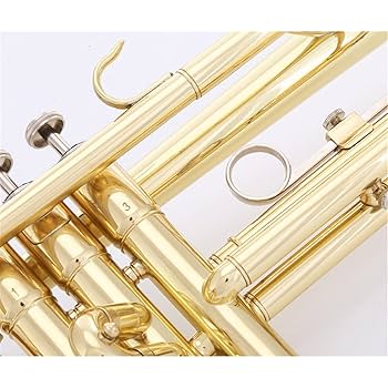Amazon.co.jp: 学生用トランペット トランペット 楽器 金管楽器