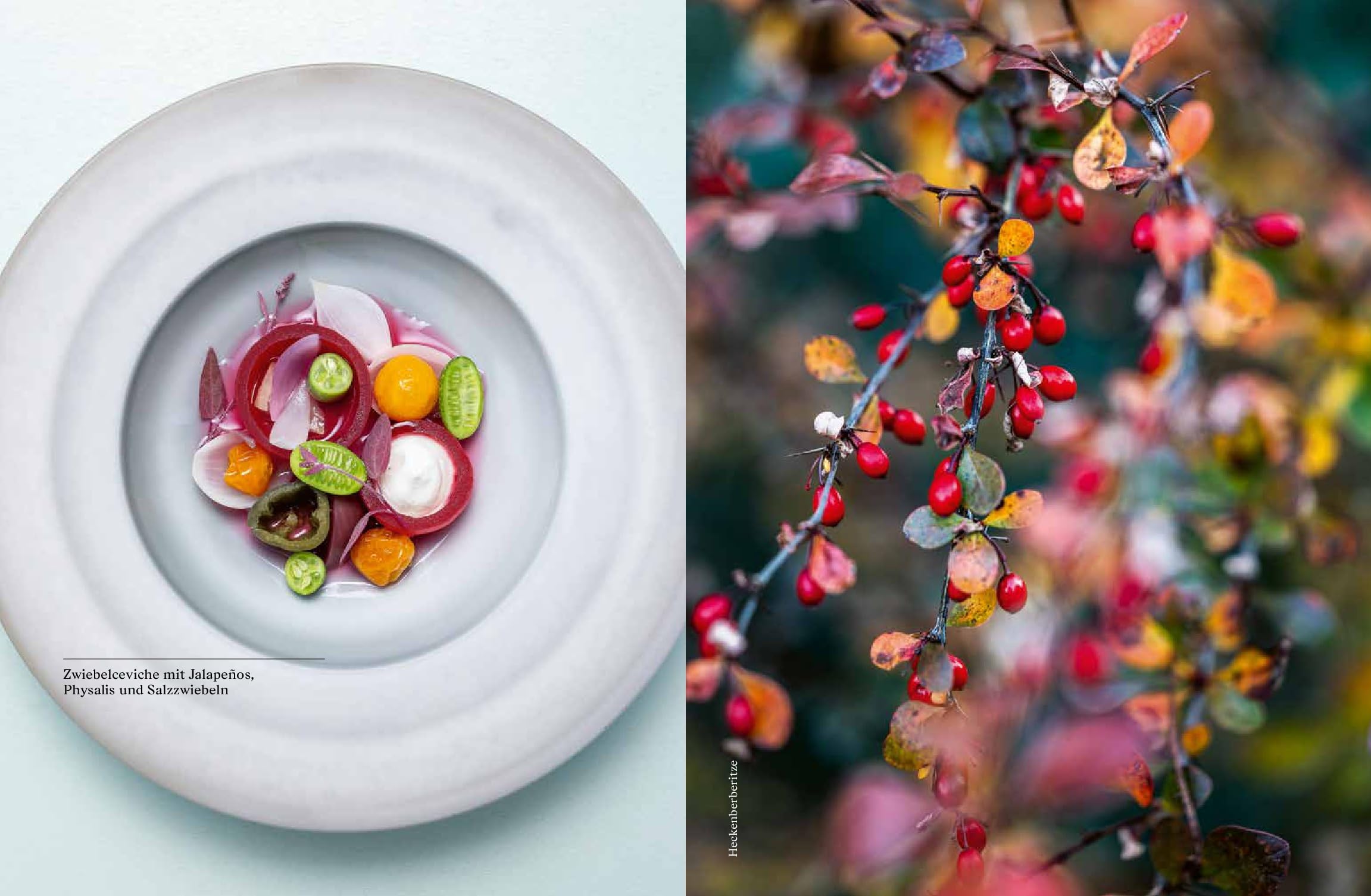 Pure Frische: Meine vegetarische Küche
