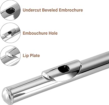 Cecilio シルバーオープンホールフルート Amazon.com: Cecilio Closed Hole C Flute - Musical Instrument