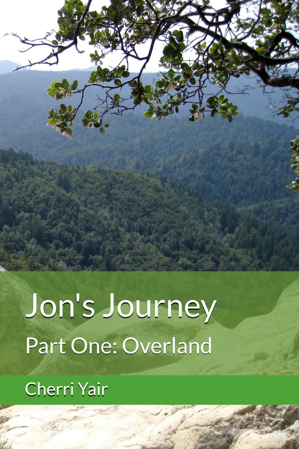 Jon's Journey: Part One: Overland