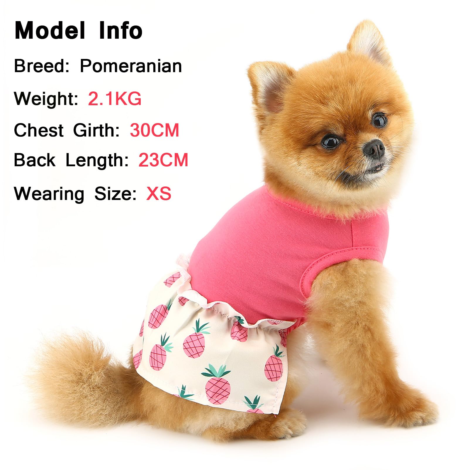 SMALLLEE_LUCKY_STORE Dog Dresses for Small Dog Comfortable Puppy Vest Dress with Pineapple Spring Summer Stretchable Breathable Pet Skirt Chihuahua Yorkie Cat Clothes - Image 2