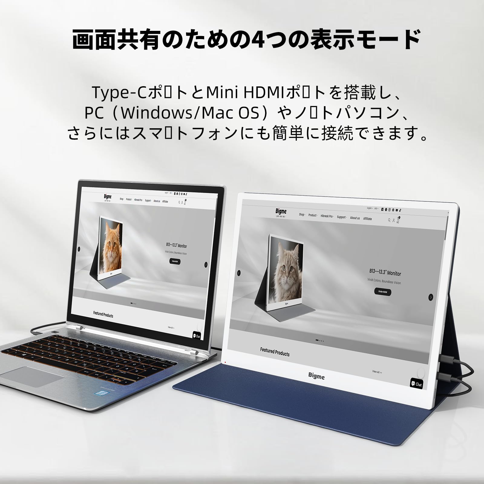 Amazon.co.jp: Bigme B13 カラーエーパーモニター 13.3インチ、タイプC