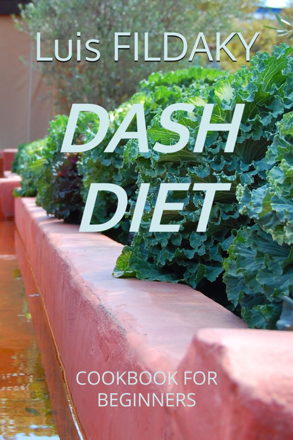 DASH DIET: COOKBOOK FOR BEGINNERS