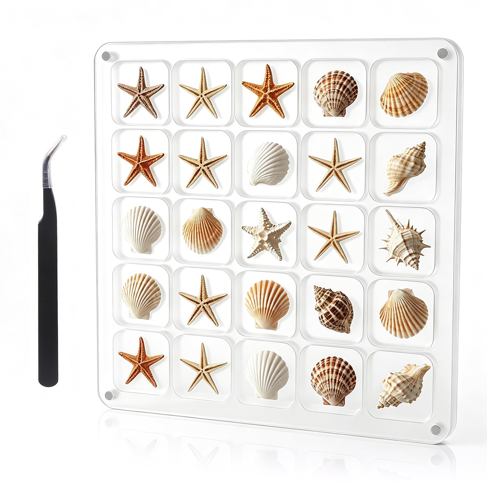 Amazon.com: MUXIUNT Multi-Style Clear Acrylic Magnetic Seashell