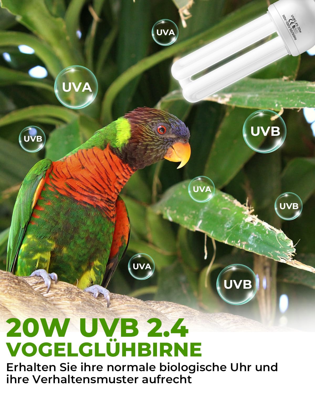 GlowUp UVB 2.4 Vogellampe Kombi-Set, tiefe U-förmige Lampenfassung mit 20W UVB Vogellampe E27 für Vögel