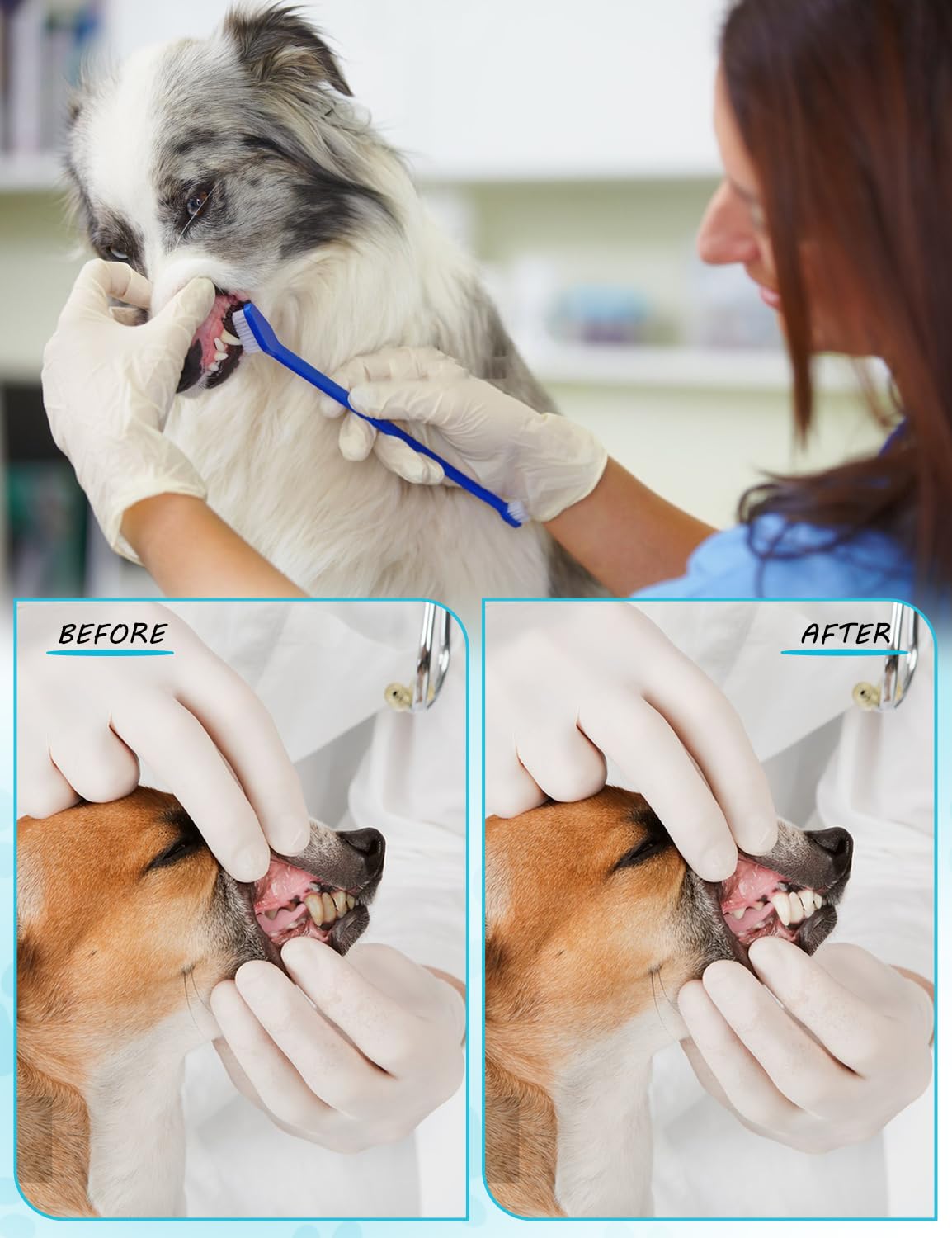Kit de brosse à dents pour chien, double tête pour chiens de petite et grande taille, chats, chiots et la plupart des animaux de compagnie, poils souples, brosses à dents à long manche, brosse à dents