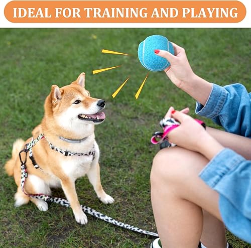 Miniatura 5 de DIVINA VITAE 20 pelotas de tenis pequeñas para perros, 2 pulgadas, coloridas mini pelotas de tenis para todos los lanzadores de pelotas de perro de