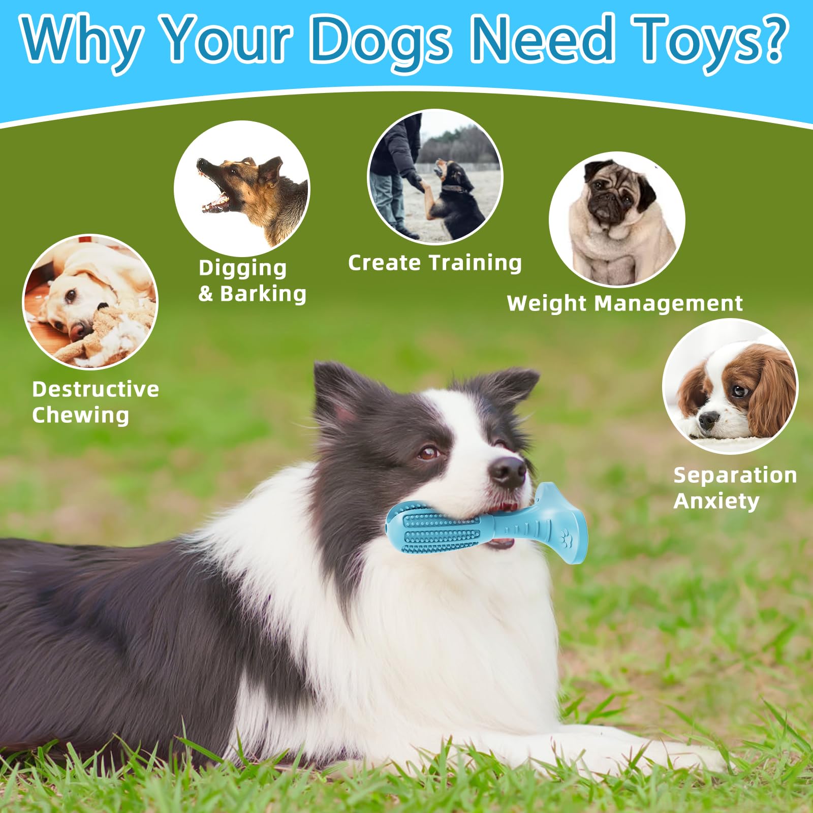 HETOO Dog Chew Toys - Image 4