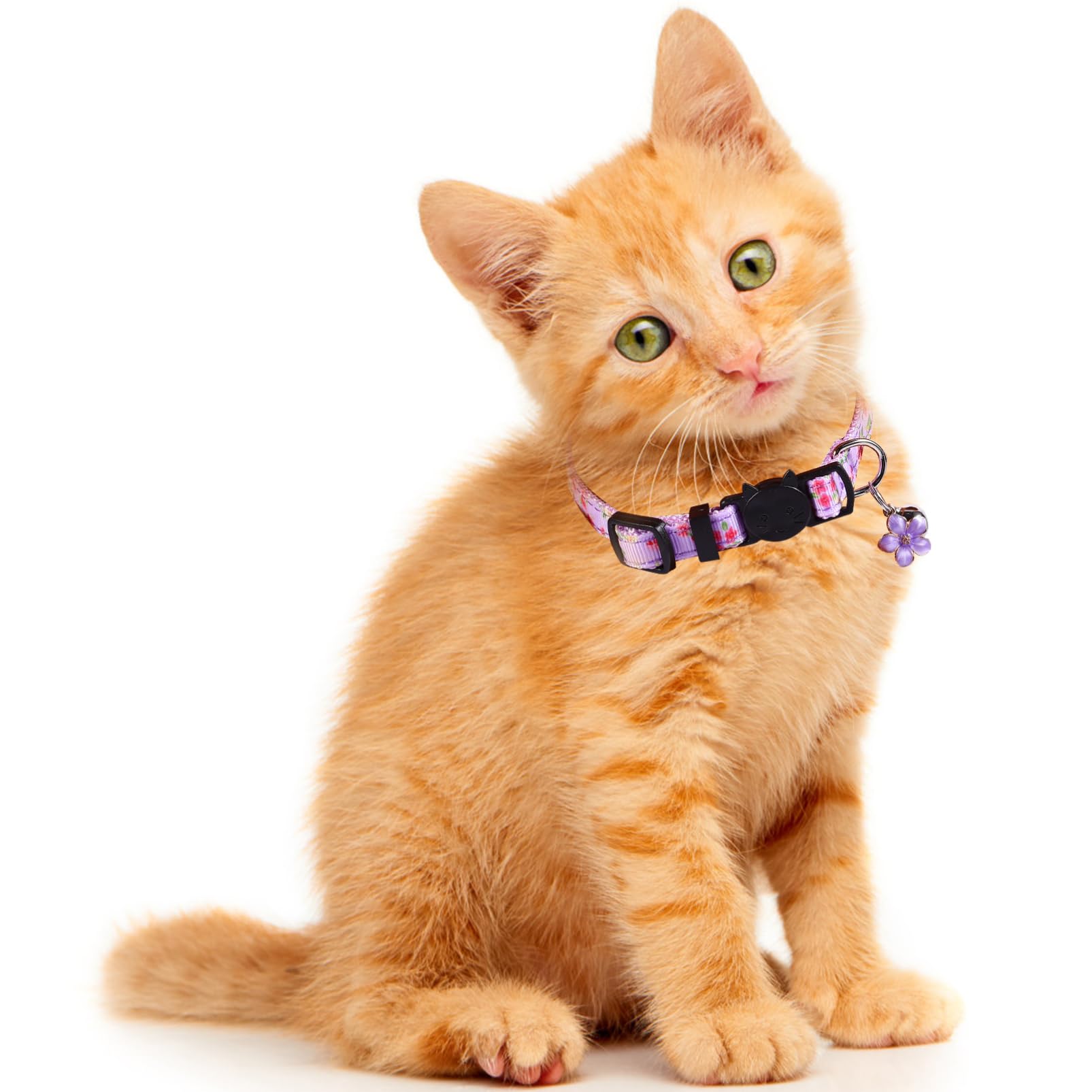 Toddmomy 12pièces Collier pour Chat Floral Accessoire Mignon pour Chaton avec Motif De Fleurs pour Photos Fêtes Et Occasions Spéciales