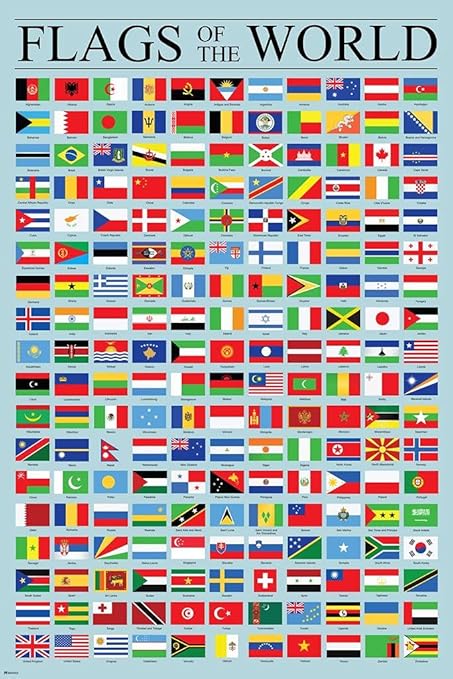 Anno 117 erbjuder gratis innehåll - här är hur du får detta 8 Laminated Flags of the World Poster Geography Classroom Decor International Country Reference Chart Poster Dry Erase Wall Art 12x18