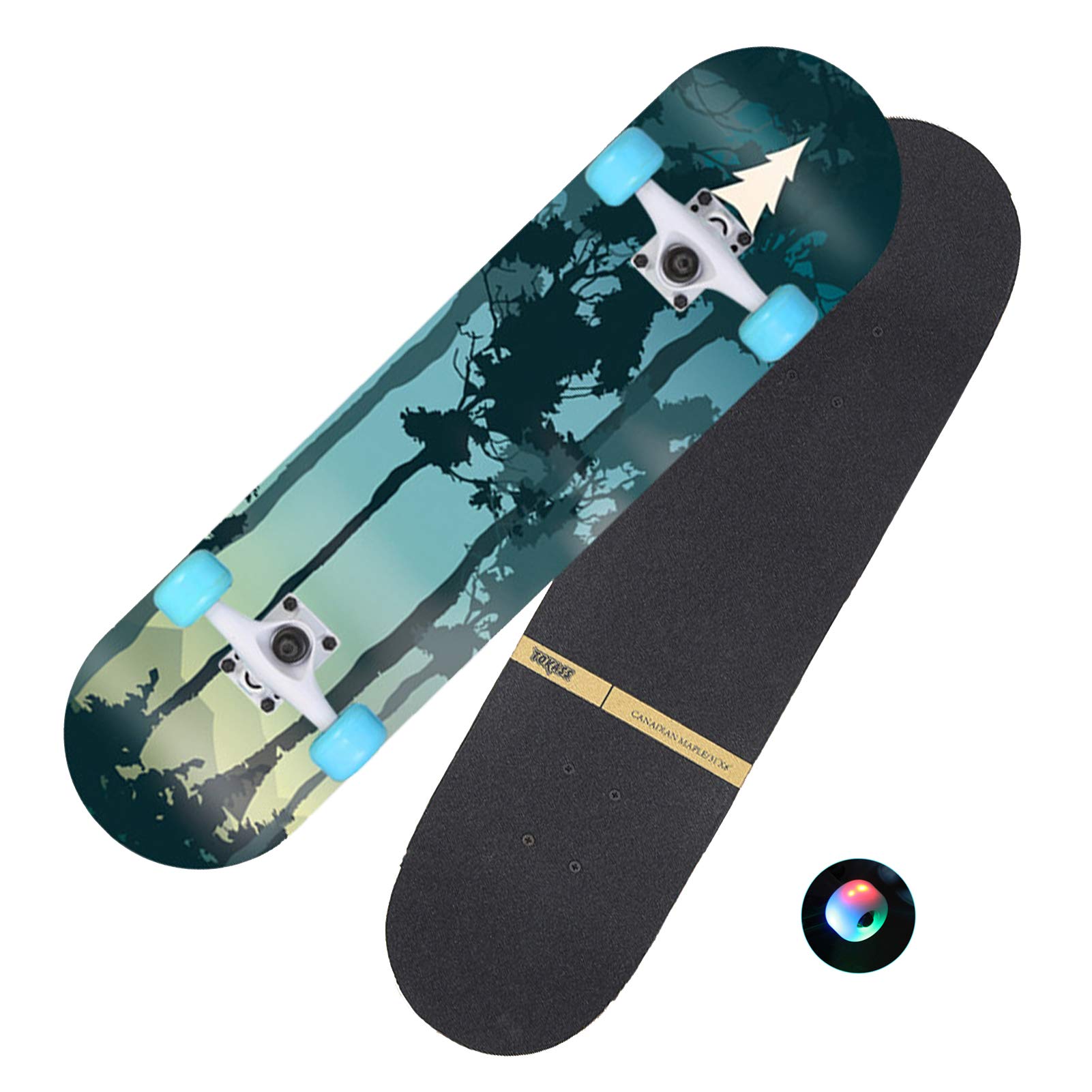 RajoNN Skateboards für Teenager, Standard-Skateboards für Kinder, Jungen, Mädchen, Jugendliche, Anfänger, Starter-Komplett-Skateboards, 31 x 8 Zoll, 7 Schichten Ahorn, Pro Cruiser,