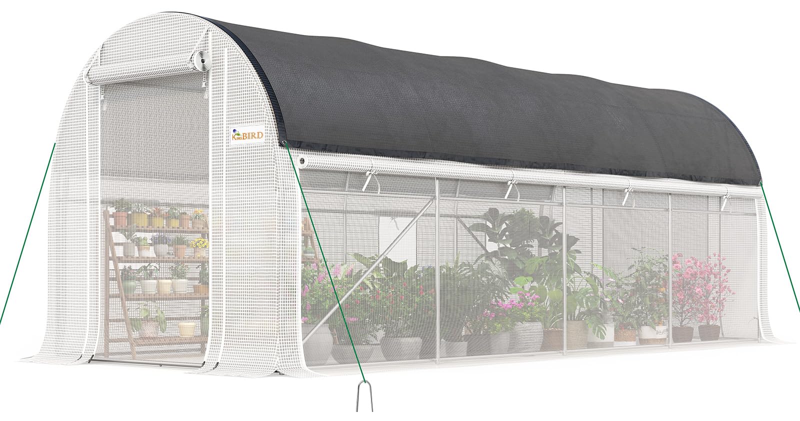 King Bird Premium 15x7x7 FT Greenhouse