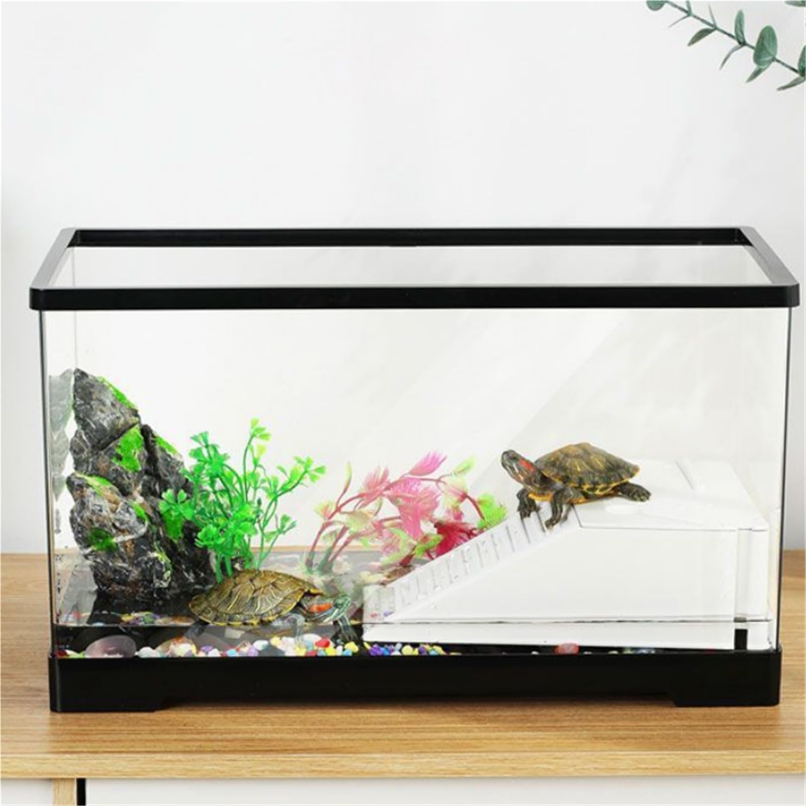 Siedlisko terrarium Domowa skrzynka do karmienia żółwi z separacją na mokro i platformą suszenia słońcu Terrarium akwariowe