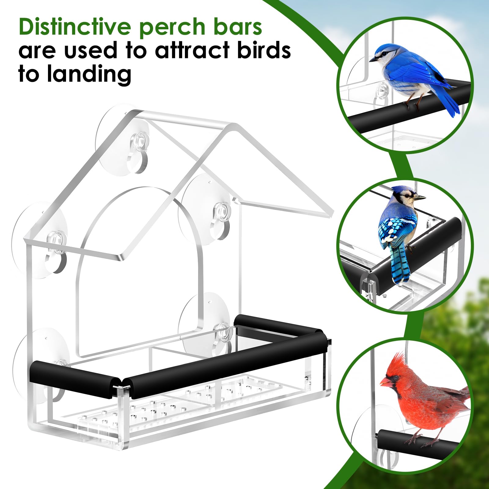 LIANGPIN Clear Window Bird Feeder with 5 Strong Suction Cups - Image 4