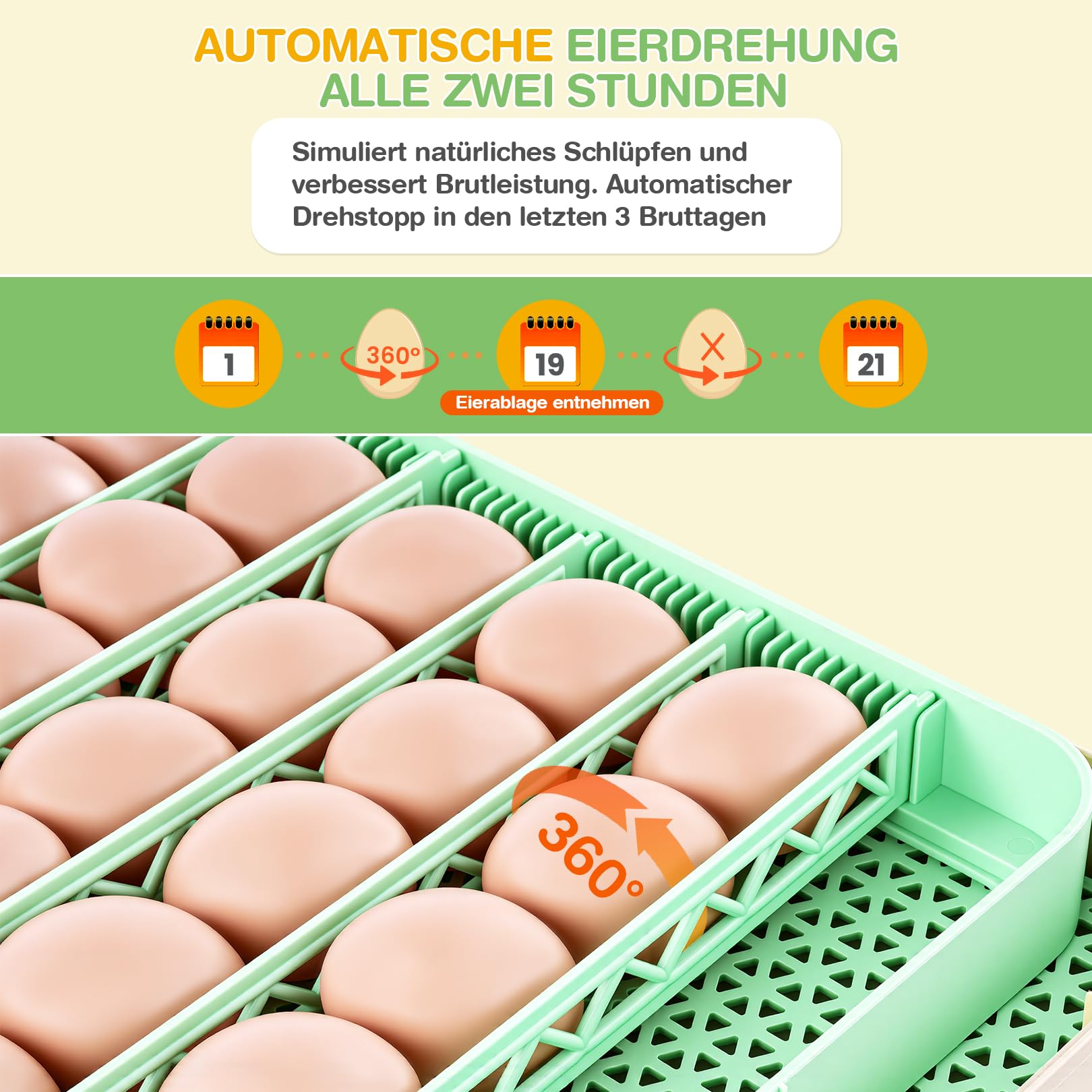 Sailnovo Couveuse Oeuf Automatique 48 Oeufs, Incubateur Oeuf Automatique avec Retournement Automatique des Oeufs et Humidification Automatique, Couveuse Incubateur œufs de Poule, Caille, Canard, Vert
