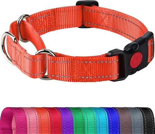 Joytale Collar Martingale para perros, reflectante resistente para mayor seguridad, hebilla de liberación rápida, collares de nailon ajustables para