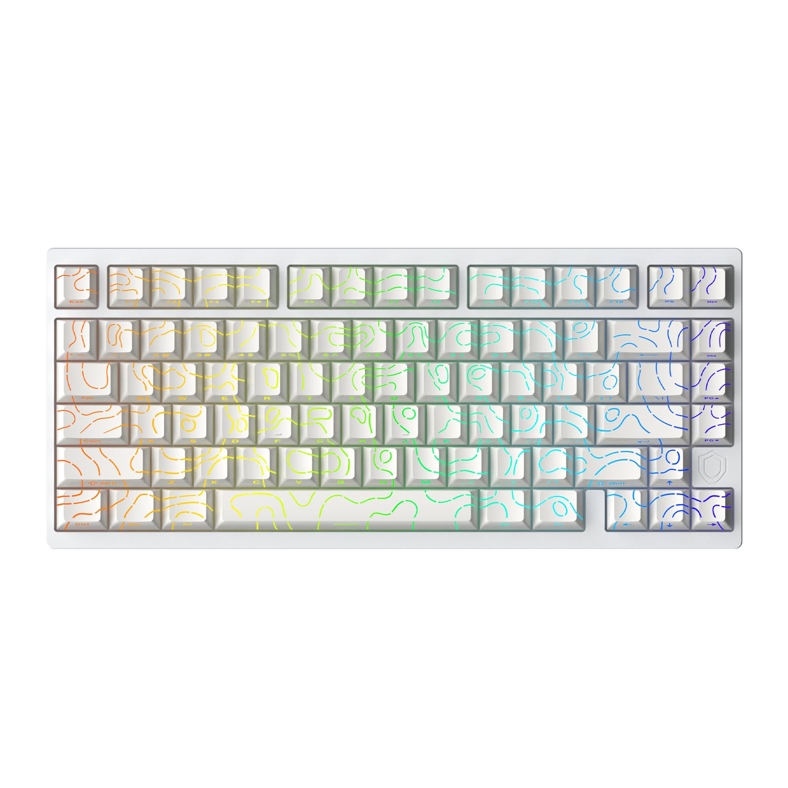 Amazon.com: IROK MG75PRO 81 Keys Wired Magnetic Switch