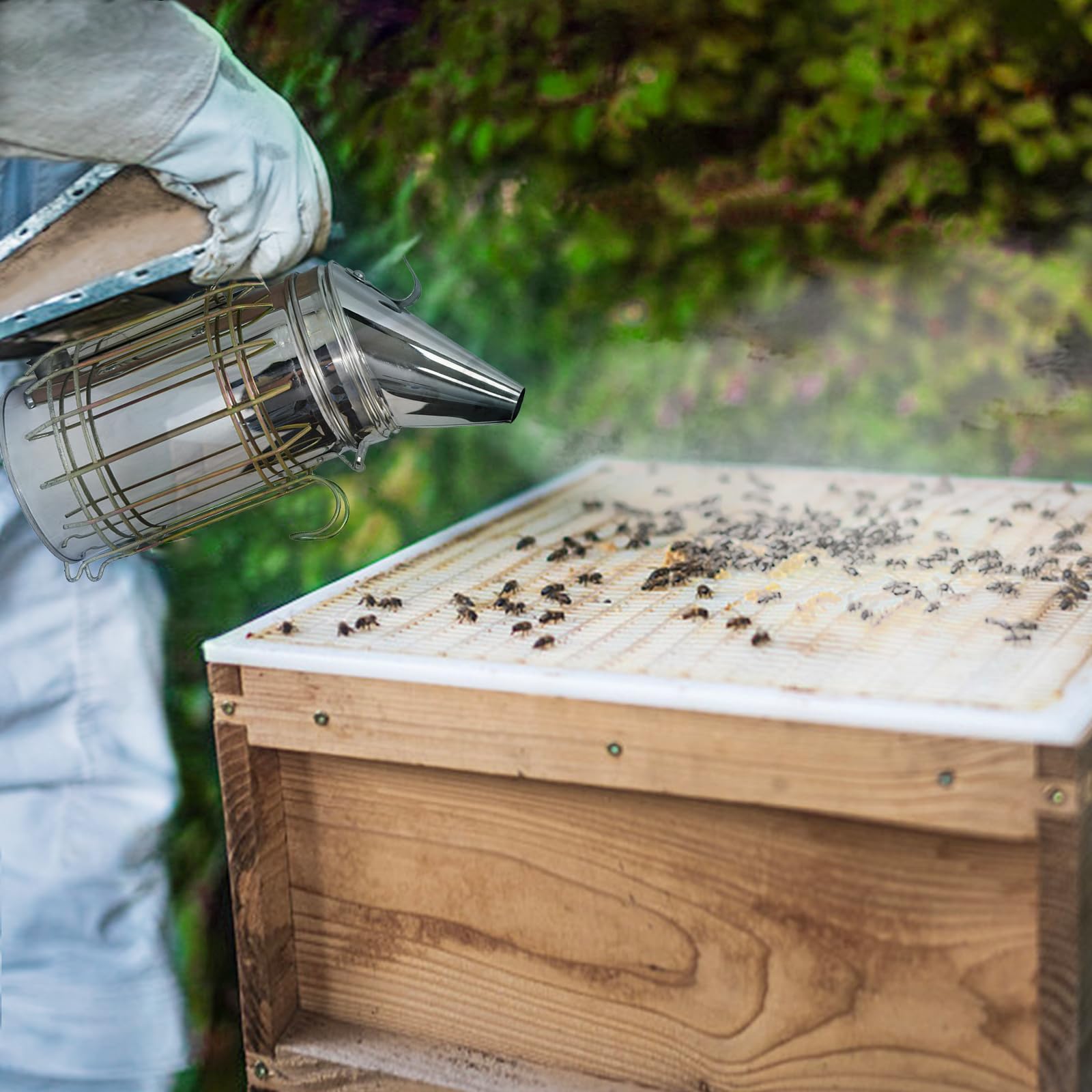 Kit de ahumador de colmena de abeja, ahumador de colmena de abeja de acero inoxidable con escudo térmico, kit de herramientas de apicultura incluido 54 pellets de ahumador de colmena para apicultor
