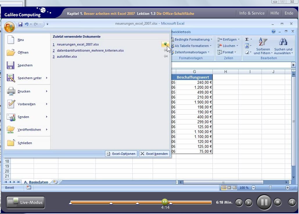 Excel 2007 professionell einsetzen. Das Video-Training für Controlling, Finanzplanung, Personalplanung, Büroeinsatz und Projektmanagement