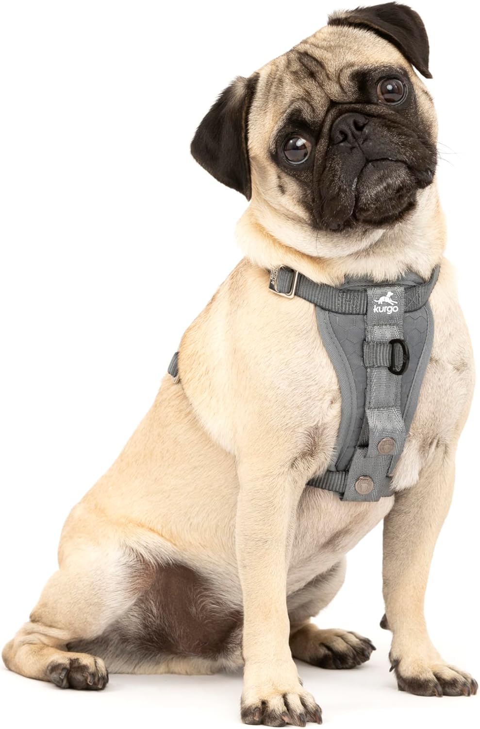 Kurgo Enhanced Strength Tru-Fit Smart Dog Harness, Charcoal, Small – Crash Tested Car Safety Harness for Dogs, No Pull Dog Harness, Includes Pet Safety Seat Belt Tether, Steel Nesting Buckles Kurgo Enhanced Strength Tru-Fit Smart Dog Harness, Charcoal, Small – Crash Tested Car Safety Harness for Dogs, No Pull Dog Harness, Includes Pet Safety Seat Belt Tether, Steel Nesting Buckles