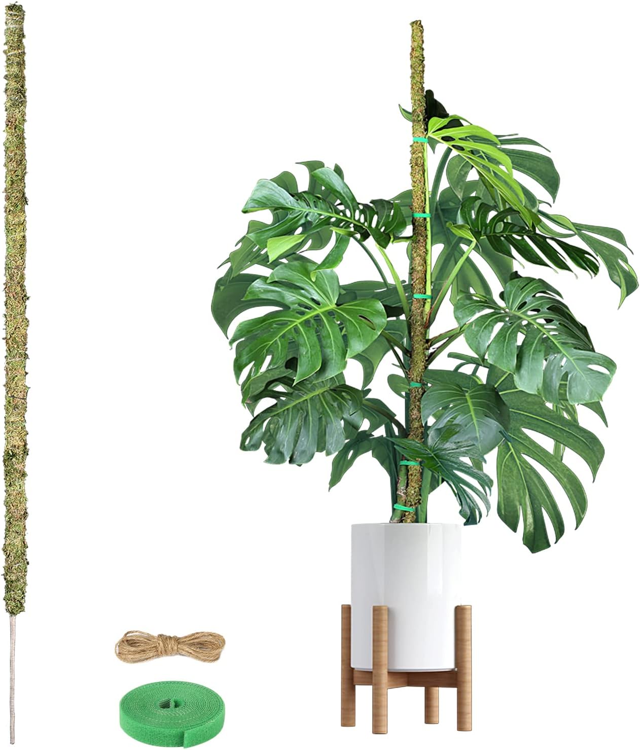 63 Inch Bendable Moss Pole for Plants Monstera Real Moss