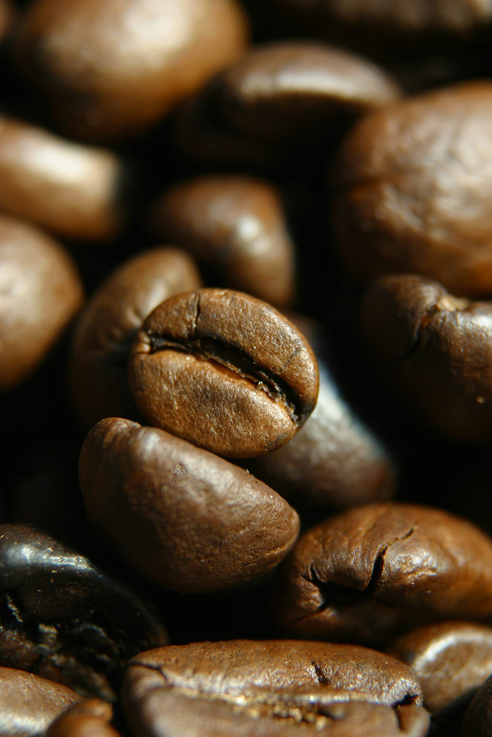 CAFFÈ CORSINI 1950 Kawa Ziarnista Espresso, Mieszanka o Intensywnym i Kremowym Smaku, 1 kg
