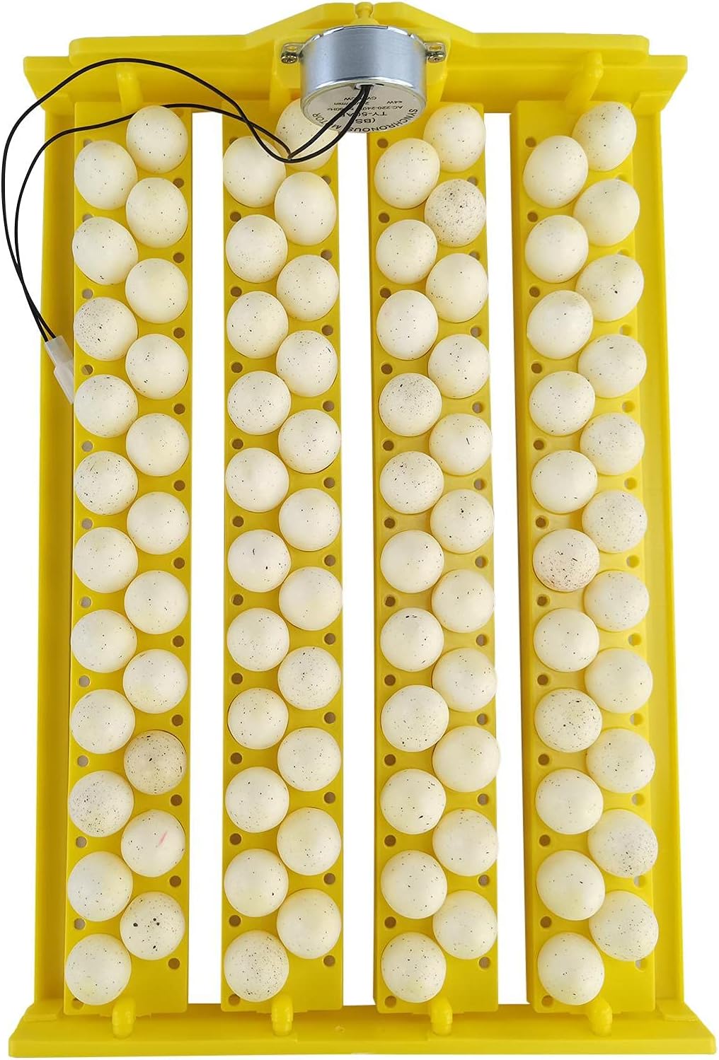 Egg Rails,88 Eggs Fully Automatic & Digital Incubator for Hatching