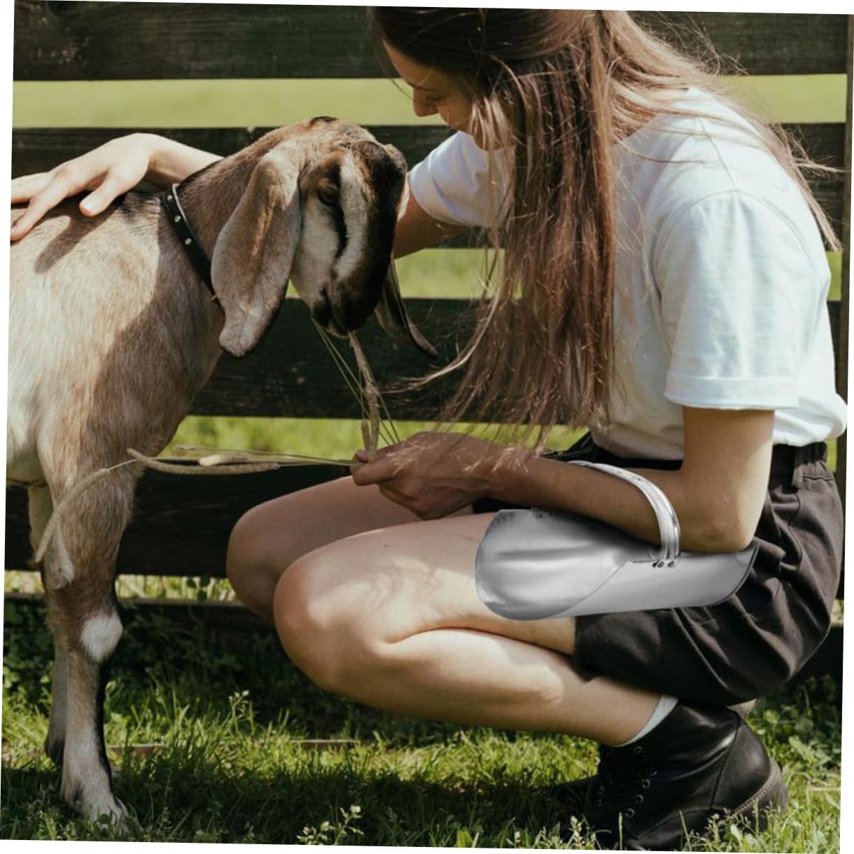 Kisangel Paletta per Mangime in Ferro Spessa e Pratica per Forniture Agricole, Comoda da Usare, per Fattorie e Aree Verdi, Utensile Resistente Argento