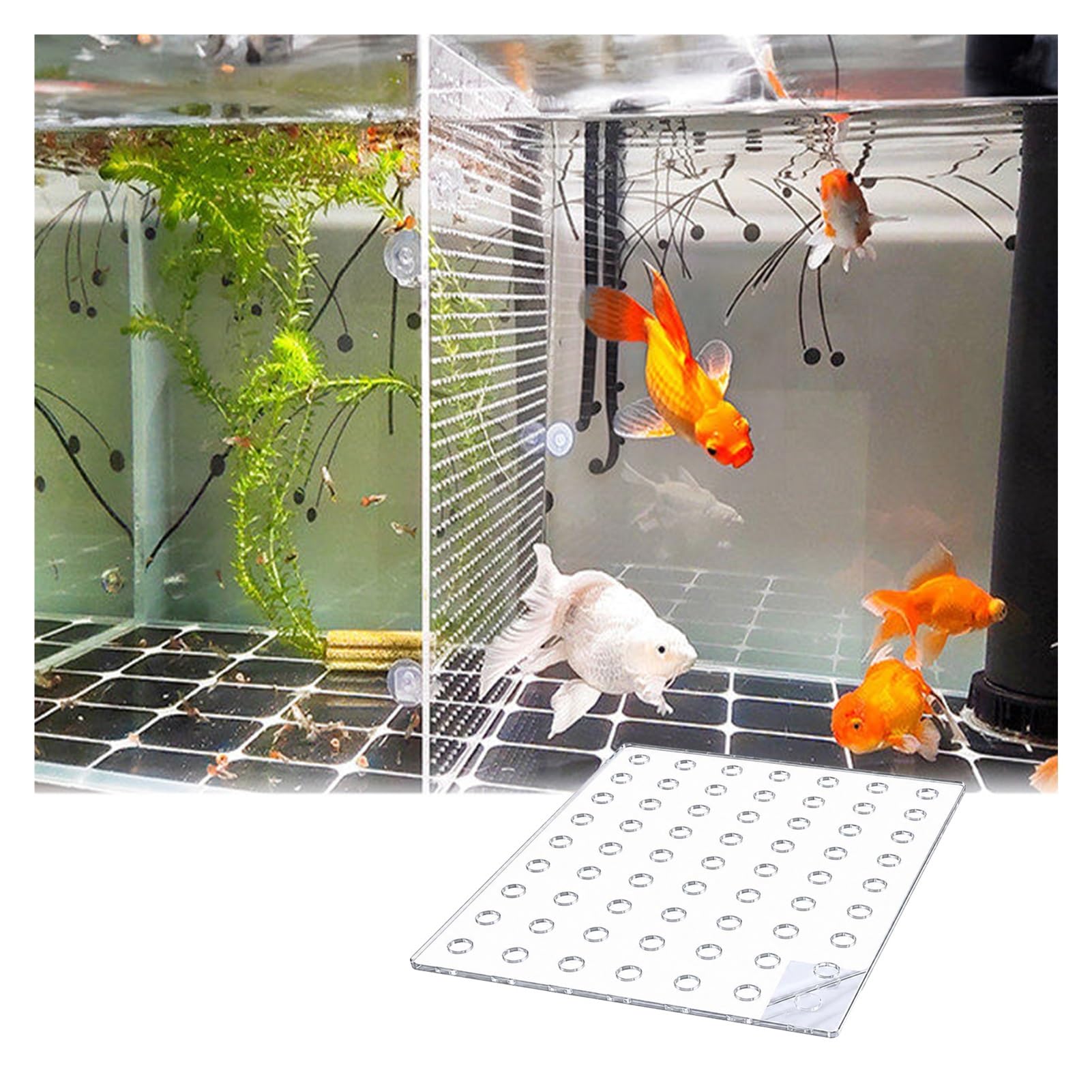 Divisor De Acuario, Panel Separador De Acrílico Transparente 5mm con Ventosas, Aislador Duradero para Cría Mixta Y Separación De Peces En Peceras(50x120cm)