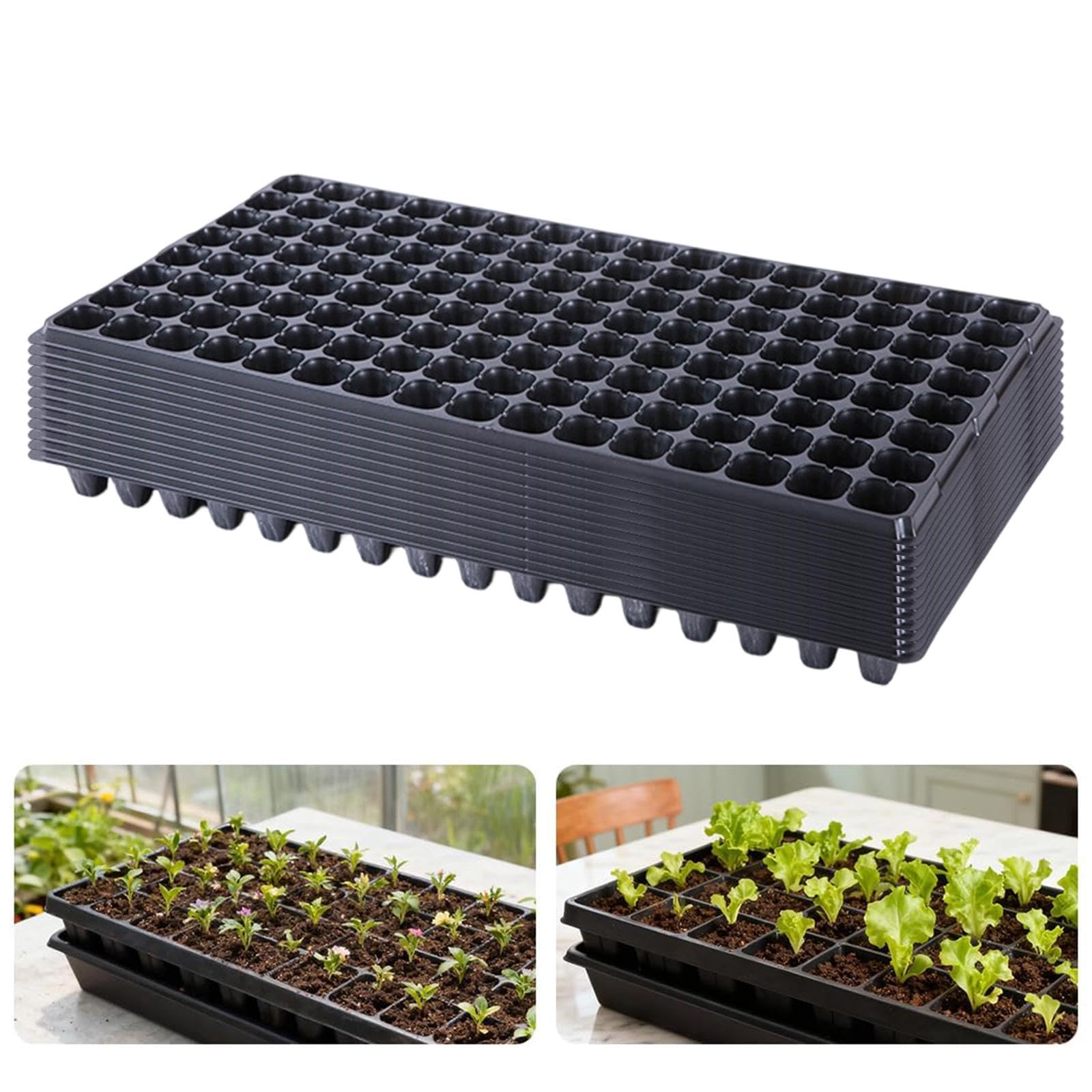 Homyl 12 Pezzi Vassoi per Piantine da con Vasi di Avviamento per Piantine Alveolari, Vasi di Propagazione Portatili per Fiori, Giardino Interno, 128 Celle