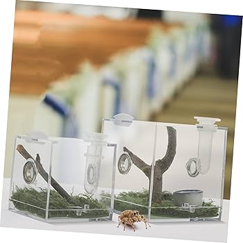 Amazon | VORCOOL 2個入り 箱 トリグモ飼育箱 カタツムリの